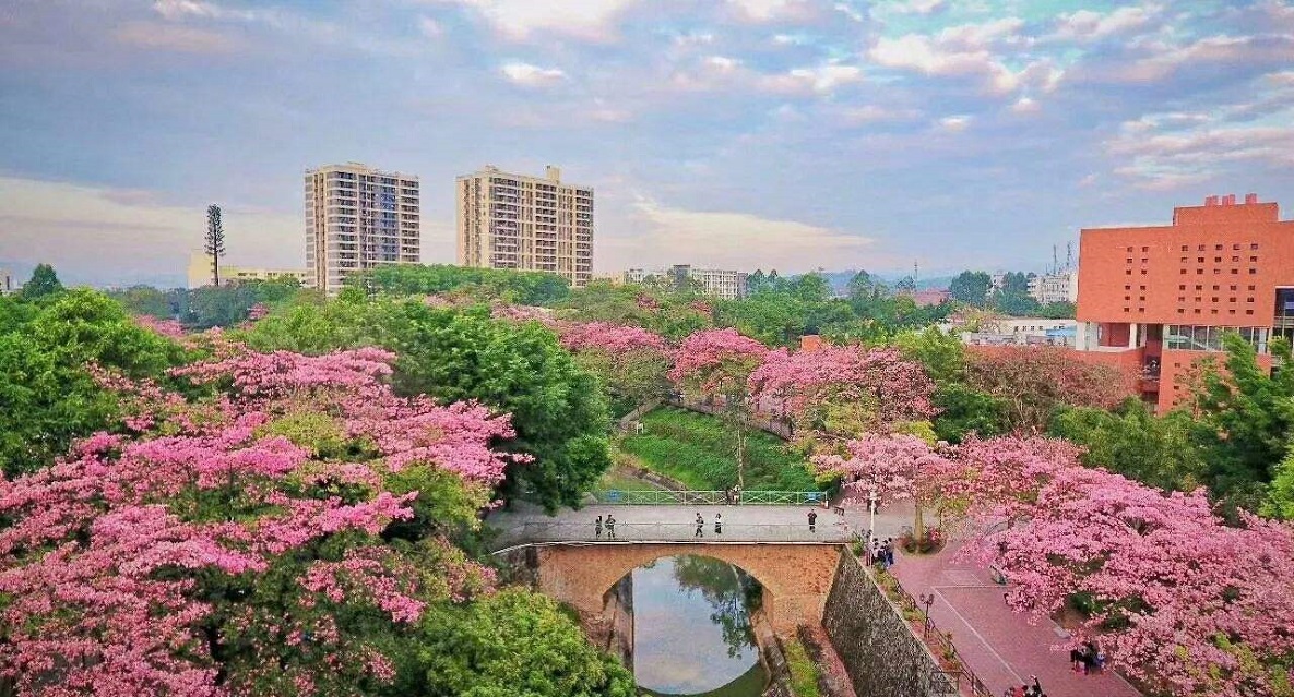 广州大学华软软件学院